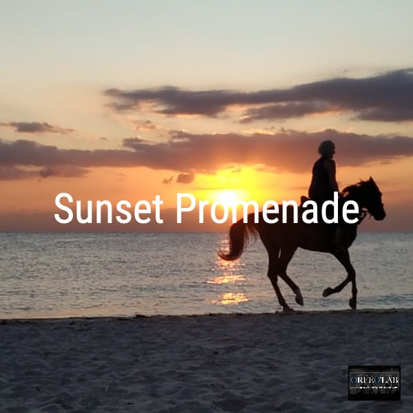 Sunset Promenade playlist photo cover spotify orfeolab distribution promotion