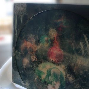 Picture Disc- Embryogenesis